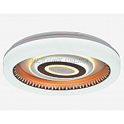 Потолочный светильник SS1L 000024776