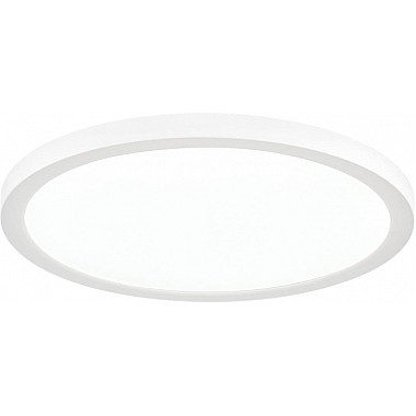 Потолочный светильник Nebula 7754/24L