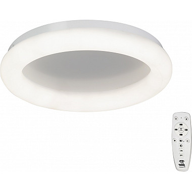 Потолочный светильник V2538DT-0/1PL