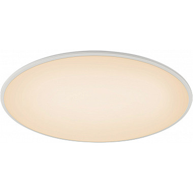 Потолочный светильник Slim 7972