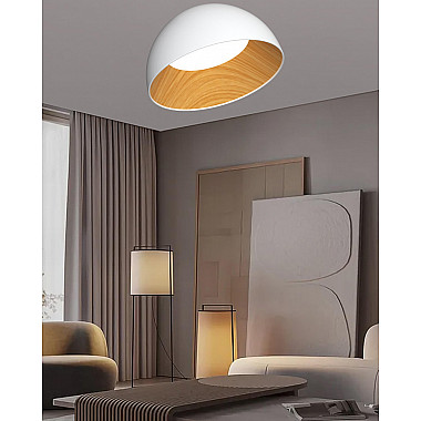 Потолочный светильник F0724-07