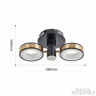 Потолочный светильник 271040/2R BK/GD