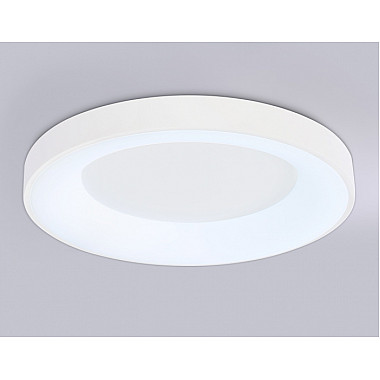 Потолочный светильник ORBITAL FZ1401