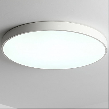 Потолочный светильник Tortty ZRS.02564.120