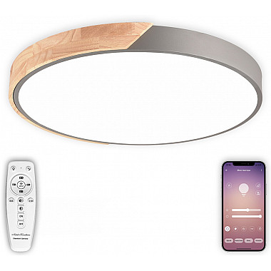 Потолочный светильник Scandinavian LED LAMPS 81184