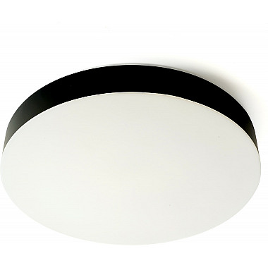 Потолочный светильник 48884