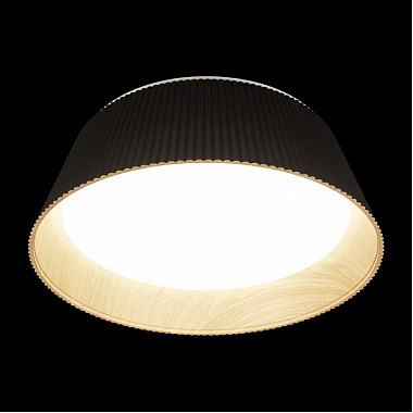 Потолочный светильник Evans 10224 Black