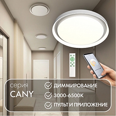 Потолочный светильник Cany DK6516-WH/1