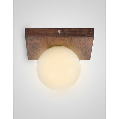 Потолочный светильник SS1N 000036824