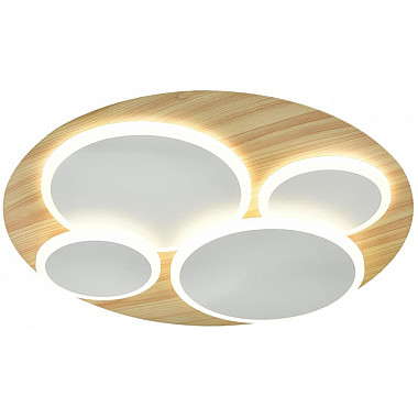 Потолочный светильник Pine 7734/60L