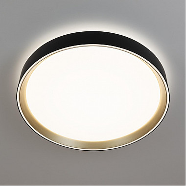 Потолочный светильник Boss CL751351G