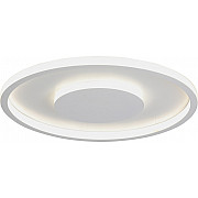 Потолочный светильник V3891-0/2PL