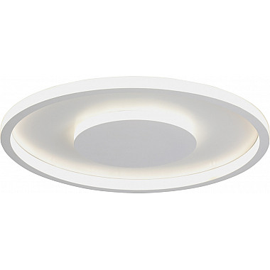 Потолочный светильник V3891-0/2PL