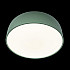 Потолочный светильник Axel 10201/480 Green