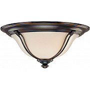 Потолочный светильник Gaul 10238