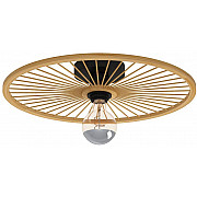 Потолочный светильник LEOMINSTER 43883