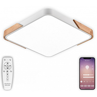 Потолочный светильник Scandinavian LED LAMPS 81410