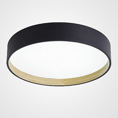 Потолочный светильник Netty01