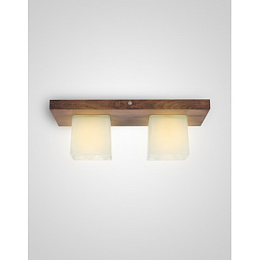 Потолочный светильник SS1N 000036812