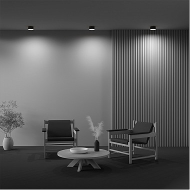 Потолочный светильник Zon C032CL-12W2.7K-RD-B