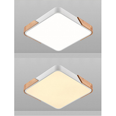 Потолочный светильник Scandinavian LED LAMPS 81410