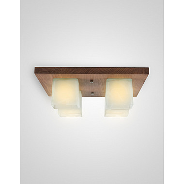 Потолочный светильник SS1N 000036798