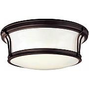 Потолочный светильник Pint 10201