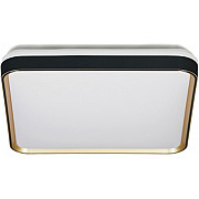 Потолочный светильник Paneli LDC 8061-450 BK