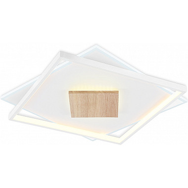 Потолочный светильник COMFORT FL4790