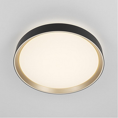 Потолочный светильник Boss CL751351G