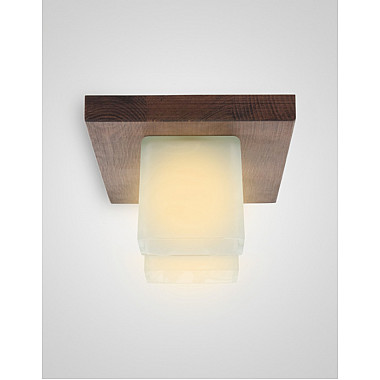 Потолочный светильник SS1N 000036812