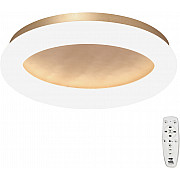 Потолочный светильник V2538DT-8/1PL